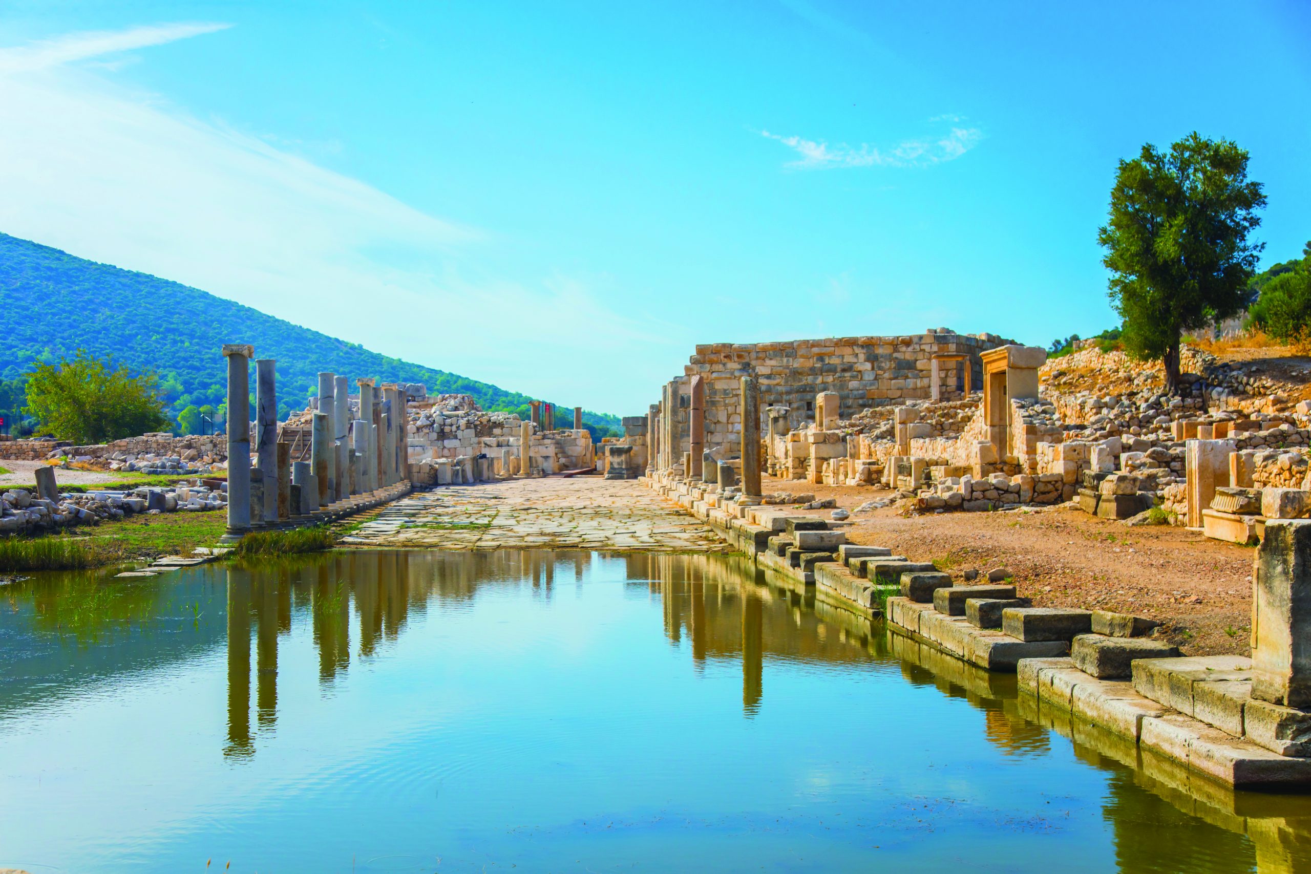 Sadece Patara Örenyeri'nde Bulunan Şeyler