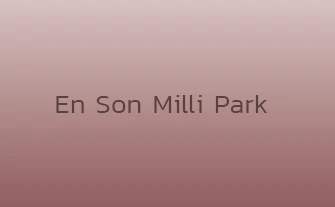 En Son Milli Park