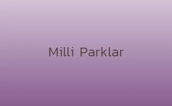 Milli Parklar: Doğal ve Kültürel Mirasımızın Korunmasında Önemleri