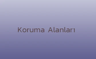 Doğa Koruma Alanları Nedir? Türkiye'deki En İyi 10 Milli Park