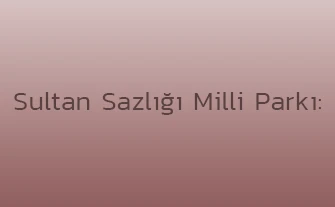 Sultan Sazlığı Milli Parkı: Türkiye'nin En Büyük Sulak Alanı