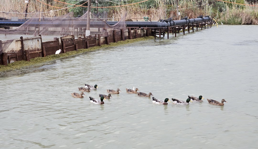 akyatan milli parkı